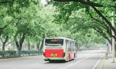 更多的微笑、平静、美好：惹人心醉的开心句子收集精选