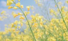 一些描述情感状态的QQ句子，包括伤心与不开心的表达