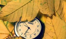 2022年白色情人节，怀念那位让我心仪多年的人出现在我的生命中，我热情分享关于这个节日的一系列想法和经历的大全