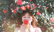 分享高兴的句子，畅叙内心情感分享的快乐瞬间