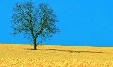 不要忘记珍视眼前的亲情，因为这是一生中最难得、最珍贵的东西！