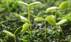 享受着亲情的温暖和关怀，让我们感受到生命的意义和价值