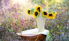 倾诉内心不快，畅言心情不佳：借句子传递压抑不开心的情绪