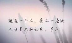 令人心碎的惨情词句，超越感情极限的伤感句子