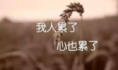 回忆往昔的岁月，心中充满酸楚与伤感的句子集锦