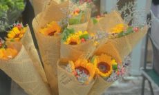 一堆令人心驰神往的美好祝愿，送给新的一年！