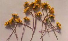 分享朋友圈时感到心痛的话语：探讨社交媒体的情感表达方式