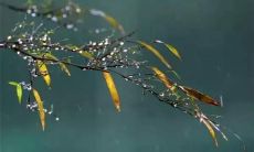 上的传统文化推广——分享寒衣节的文化意义和历史渊源，引导社交媒体用户重新认识传统文化价值，推广中华文化精髓