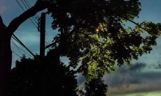 恋爱后分享甜蜜句子的可爱发圈