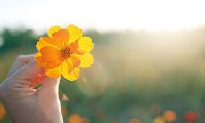 探索唯美、清新、独特的个性签名创作的艺术之路