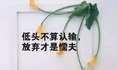 深陷情感困境：失恋后沉浸在悲伤和痛苦中的发泄与思考