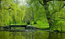 ——探寻父母辈的浓浓爱意：从句子中读懂饱含深情的亲情