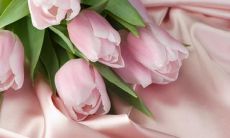 分享——如何在朋友圈中展现自己的魅力，吸引更多女生的目光？