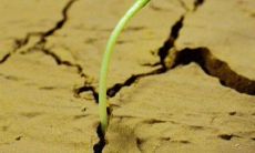 一篇富有启示性的关于成长的励志句子，让你走向成功！