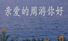 讨论亲爱的周游的观点及表达方式的一篇文案