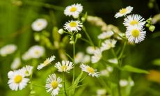 国庆节欢乐逗趣的有趣句子，带你笑傲江湖！