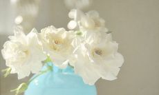 一款用于发送问候短信给客户的软件