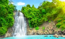 收录亦舒经典语句，探索她的智慧世界：一个全面而详尽的亦舒经典语录汇编