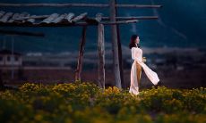 点滴细节里蕴藏着无限欢乐：让我们分享一些让人开心的句子！