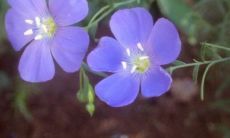 40句形象描绘作业繁重的幽默语句，以及吐槽作业多的绝美表达句子