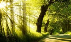 一堆甜蜜开心的爱情句子，让你感受幸福的滋味