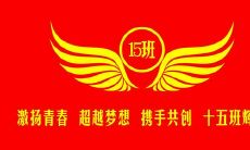 的班级口号，体现团结、协作、进取和创新的力量：15班团结协作、勇攀高峰、创新进取、展现青春活力的班级口号！