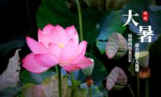 随着大暑节气的到来，送上温馨祝福的美丽图片
