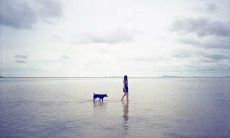 一系列能够带来幸福感的感言和写作，会让人感到开心和心满意足