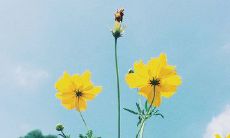 当我看到你快乐的时候，我也感到无比的幸福——男友对女友的心灵感悟