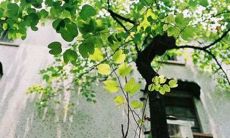 2022年最骚且含蓄的网名昵称大合集，不要再来烦我抱紧你的电脑，我一起帮你解决！