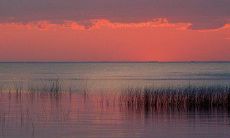 精选感人、浪漫的情人节短信问候语——向您心爱的人表达浓浓爱意