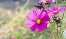 一切美好友情都会经久不衰，长久相聚的句子