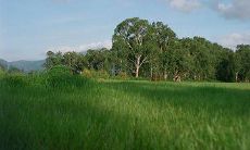 在礼拜天向朋友和家人发短信的时候，如何恰当地表达问候和祝愿？