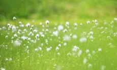 探寻友情之美：一组感人至深的遇见友情的句子