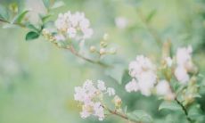 在现实中爱情与友情皆是虚幻的句子，人生经历告诉我们真实的友谊与感情不过是表面的掩饰