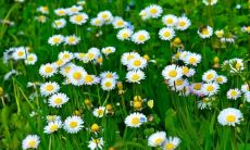 回到娘家，重温亲情、畅享快乐的美好时光！