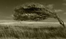 十分令人沮丧并带来内心深深痛苦的话语