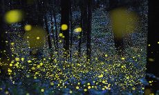 当毕业带走友情：深刻感悟、动人句子的分享