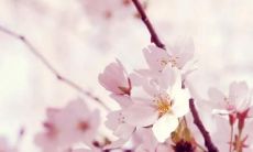 揭示女性友情虚伪的嘲讽语句