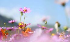 轻松愉快的英语句子，让您欢喜轻松