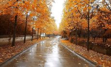 精选的适合复制到摘抄本上的名言警句汇编