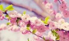 午间短信问候：向亲友传递温馨关怀的最佳方式！