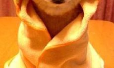 希望每个人都能拥有一句动人的友情箴言 - 探寻最珍贵的友谊之道