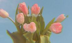 一些可以让孩子快乐的句子，让他们笑容满面！