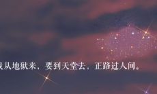 永不过期的置顶文本短语：保持长期有效的网站置顶语句