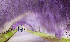 贴心关注内心感受、保持快乐心态，为身心健康添光彩的一句话