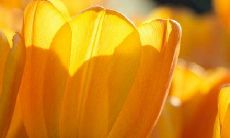 经典句子实在太烦人，因为总是没有被完全理解所以让人倍感挫败！