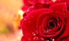 探讨压力过大所带来的心理疲劳和焦虑：长篇描述压抑心情和磨练意志的感受