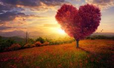 精选唯美句子，深刻描绘遇见的人和事的神奇之美