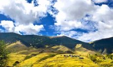 亲情是比金钱更为珍贵和至关重要的永恒纽带，它能够带给我们无与伦比的安慰、支持、慰藉和温馨感